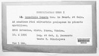 Image Associated With the Occurence